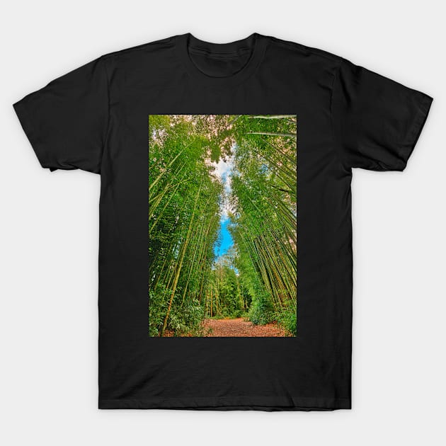 Bamboo Keyhole Forest T-Shirt by somadjinn